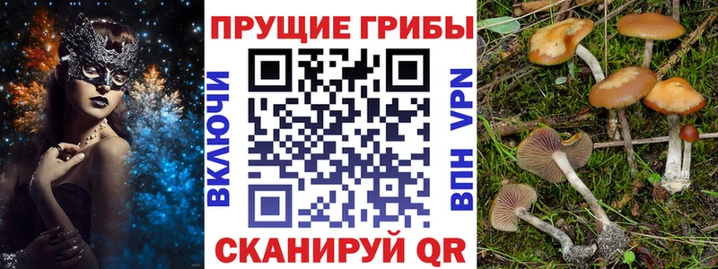 Купить закладки  Болхов  Псилоцибиновые грибы мухоморы 